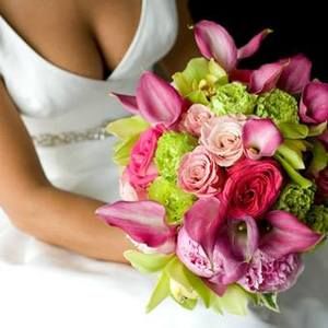 Meet your Posher, Belle